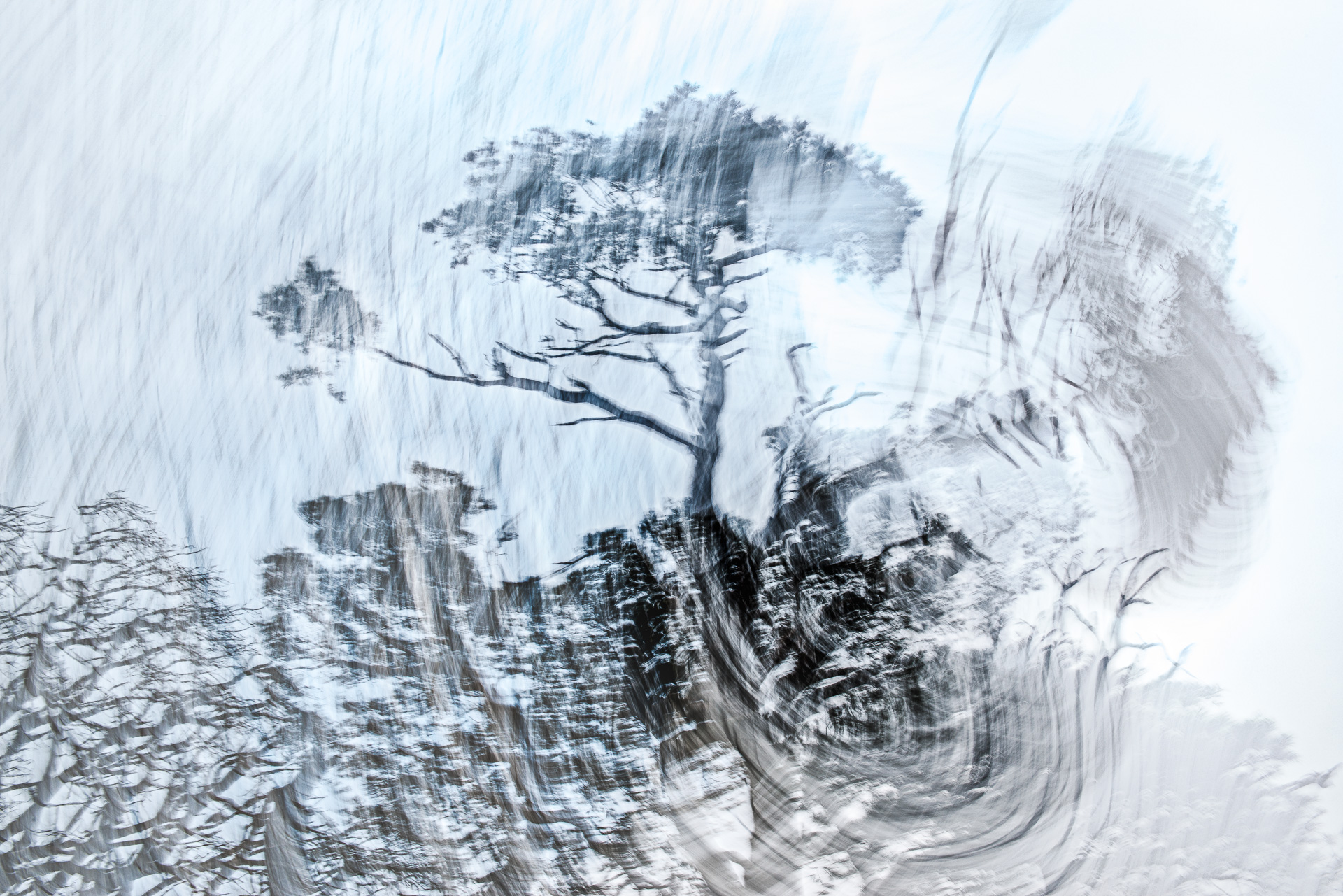 An abstract ICM photograph of a lone bare tree surrounded by swirling snow and icy terrain, rendered in monochromatic whites and greys, conveying the raw, elemental force of a Scottish winter landscape.